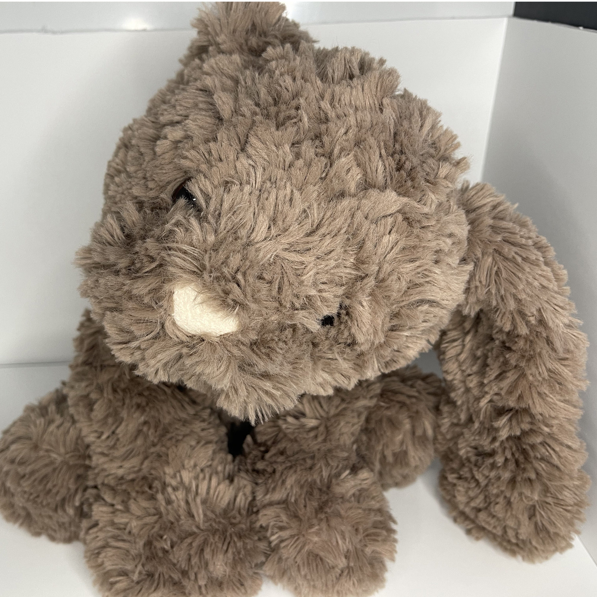 The third plushie we considered: a bunny stuffed animal (great candidate due to its size, light fabric, long ears that can hold sensors, and can stand on its own)